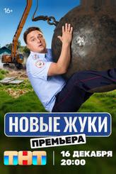 Жуки