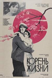 Корень жизни Корень жизни